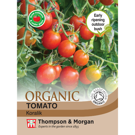 T&M Tomato Koralik Organic